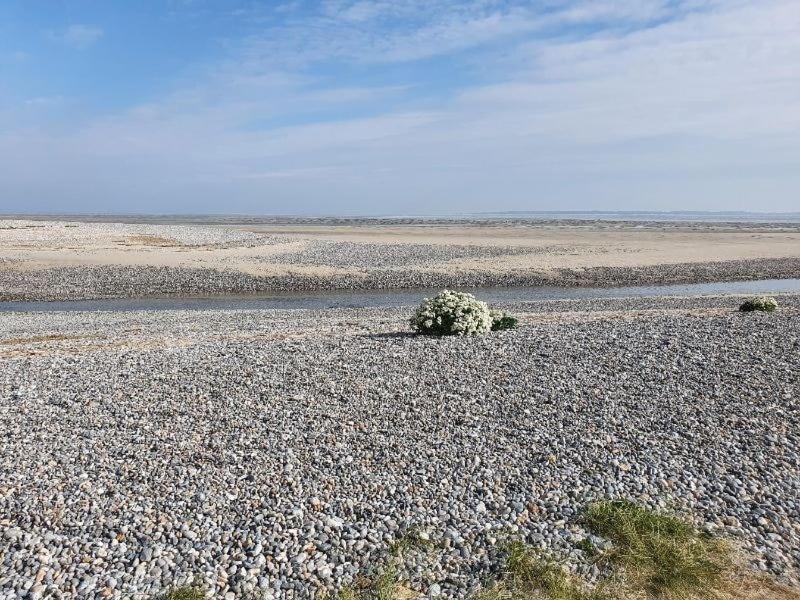 Gite Baie De Somme Cayeux-sur-Mer Exterior foto